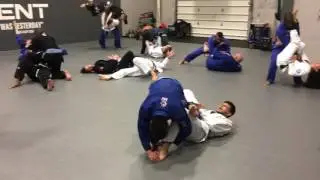 BJJ Mannequin Challenge 2 | Trident Machado Jiu-Jitsu Woodbridge VA