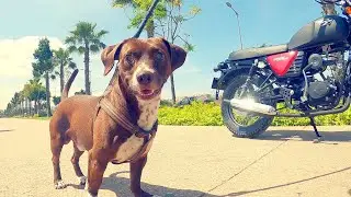 مراجعة مع تست رايد للدراجة الكلاسيكية و الجديدة 💪🏻 / ↗️ HanWay Cafe Racer