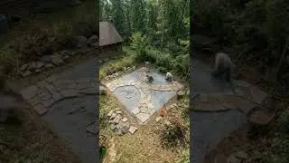 Turning a wild forest edge into a modern family garden #backyard #transformation