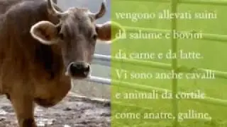ValliUnite si presenta (1)