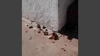 Harder Than Before