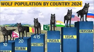 Wolf Population By Country 2024|🐺Population By Country |