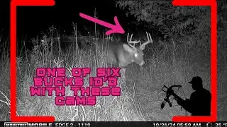 Moultrie Edge 2 & Edge 2 PRO Trail Cameras: 4G LTE, HD Video, AI Detection & No-Glow Flash  #ad