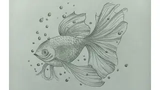 Fish drawing for kids | How to draw aquarium fish | Toddlers drawing | Easy drawing