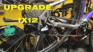 Absolute Prime 1X12
