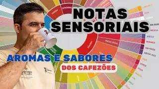 Notas sensoriais dos cafezões, seus Aromas e Sabores.