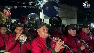 LOS AUTÉNTICOS | Banda la Reyna de Oaxaca 🔥 