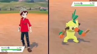 The Epic Opening Ceremony of the Gym Challenge! - Pok&eacute;mon Shield Adventure #nintendoswitch #pokemon