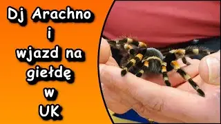 Giełda Ento-con w Anglii czyli Dj Arachno robi wjazd na giełdę! Tyle niespodzianek w jednym miejscu.