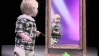 SELF RECOGNITION