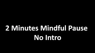 2 Mins Mindful pause - No Intro