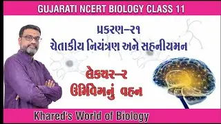 Class 11 | Ch.21 | L-02 | NEURAL CONTROL & COORDINATION | CONDUCTION OF NERVE IMPULSE |