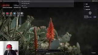 Chill Crypto Stream: XEN reset. Back to the basics. How to mint, stake, burn XEN tokens 2/5/25