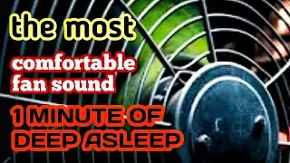What Happens When You Play This Fan Noise All Night? | 11 Hours Black Screen Sleep Aid
