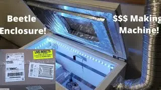Unboxing 5K Dermestid Beetles - Skull Taxidermy! Skull Cleaning