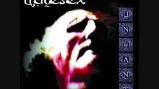 Hatesex - The Clockwork Heart