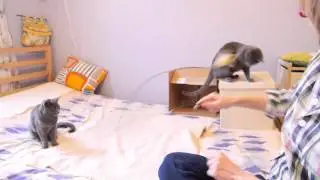 P1030110