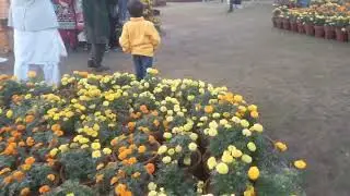Flower Show jilani Park Lahore | Part 2 | Thiraj Tv Special