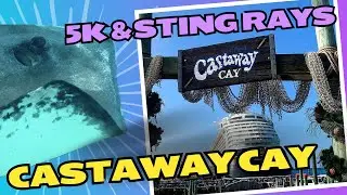 Triple Dip Stop 1: Castaway Cay 5K & Sting Rays