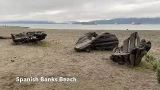 Things to Do in Vancouver | Vancouver Travel Guide | Vancouver Attractions (Spanish Banks Beach)