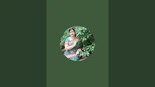 Rina ki Duniya is live namah shivaye friends