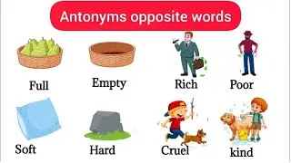 Class 6/ANTONYMS in English Grammar/SSC CGL, CHSL, CPO, BANK, RAIL, WBCS, WBP /KP