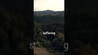 Understanding God's Purpose in Suffering and Redemption