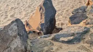 Caleta beach 2