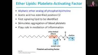 Biochemistry Lecture 10.9