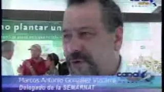 CABO CORTES CON O SIN AUTORIZACION DE SERMARNAT?
