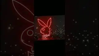 TIKTOK TRENDING OVERLY VIDEO || TRENDING || THE OASIS  ||
