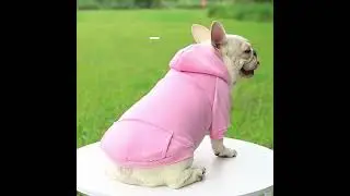Pet Dog Clothes For Small Dogs Clothing Warm Clothing for Dogs Coat Puppy Outfit Pet Clothes