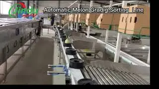 Melon Packhouse Equipment for Watermelon & Honeydew | Weighing, Grading & Sorting Line