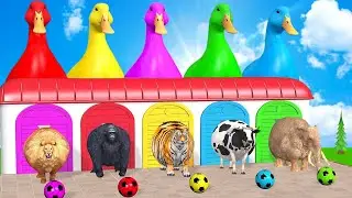 Long Slide Game With Elephant Cow Tiger Gorilla Lion - 3d Animal Game - Funny 3d Animals