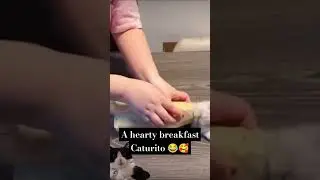 A Hearty Breakfast 🤣🥰 #shorts #catsofyoutube #petbloopers