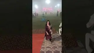 #wedding Reception#khadi matke #hariyanvisong #ytshorts #ytshortsvideo