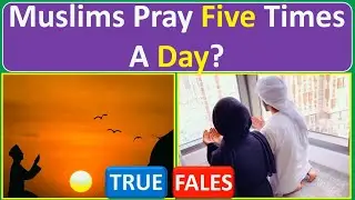 True or False Islam Edition ✅ 🟥 (no music) | Is Muslims Pray Five Times A Day? | Truth Quiz
