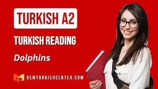 Turkish Reading A2 | Dolphins | Sample Turkish Easy Reading Lesson