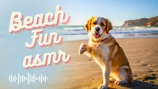 California Waves! Dog Beach Adventure: Surfing, Fetch, and Off-Leash Fun in SoCal!