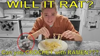 Can you CROCHET with RAMEN!? Will it Rat?