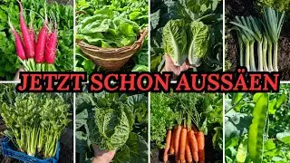 Jetzt schon aussäen 🌱 - 33 Gemüse für die Aussaat im Februar