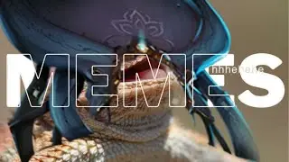 WarMemes - WarFrame Memes part 2