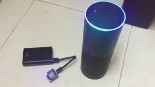 Amazon Echo direct integration with an ESP8266