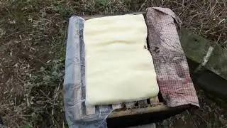 Самая слабая пчелосемья на пасеке Енговатова В. | 284. 00