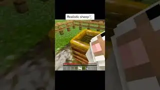 Realistic Sheep Minecraft #shorts