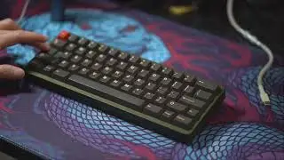 Carolina Mech - Palmetto60