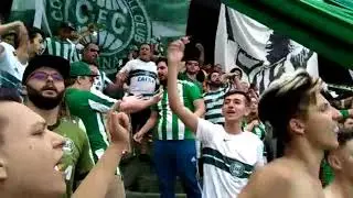 CURVA 1909 - poodleTIBA