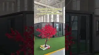 Double-Wing Expandable Container &mdash; Made in China
