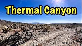 Thermal Canyon Jeep Trail - Joshua Tree National Park - Mountain Biking CA