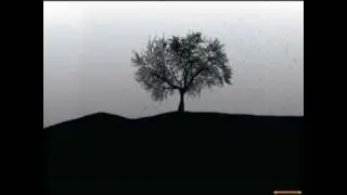 Cosmic Cowboys - Sunset On The Vineyard